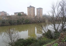 El río Pisuerga, donde este domingo fue rescatado el cuerpo con vida de un hombre.