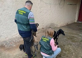 Trabajo de investigación de la Guardia Civil.