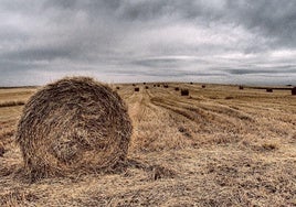 Pacas de paja en un campo de cereal de Tierra de Campos.