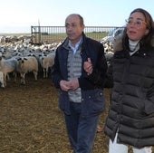 Los lechazos de IGP Castilla y León sacrificados supusieron un valor comercial de 10,4 millones en 2023