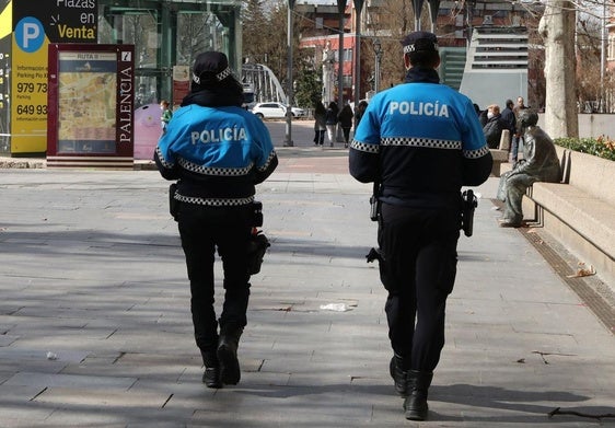 Muere un perro tras caer desde la ventana de un domicilio en Palencia