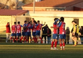 Los jugadores del Tordesillas celebran en la banda uno de los goles.