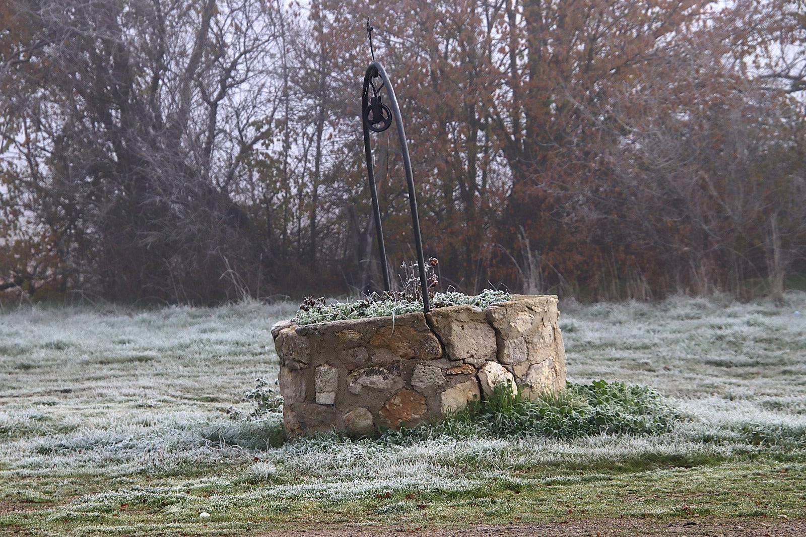 Primera cencellada en Rioseco