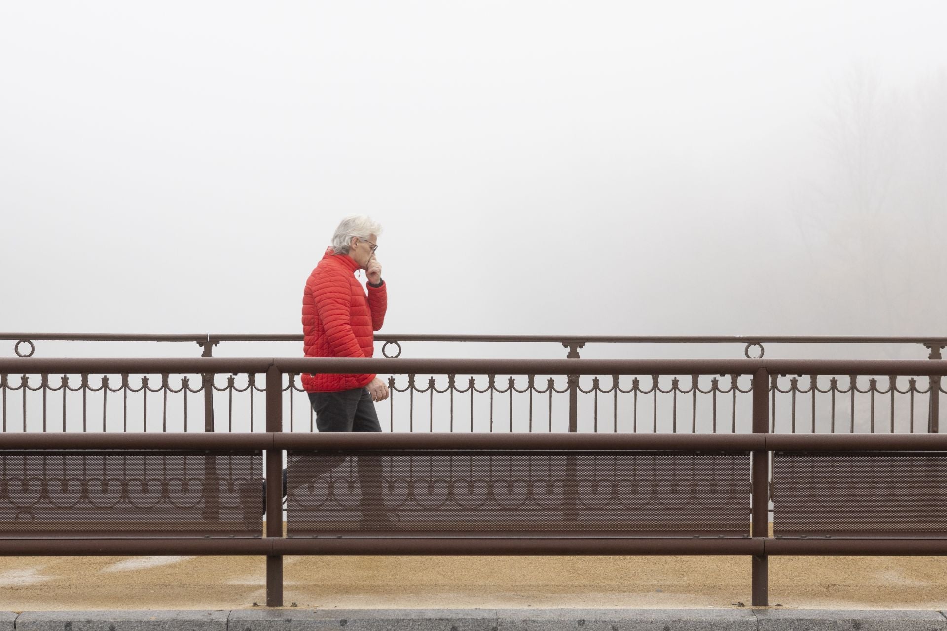 Mañana de niebla y cencellada en Valladolid