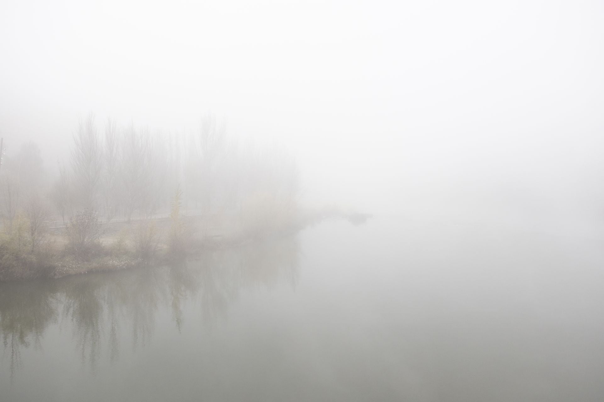 Mañana de niebla y cencellada en Valladolid