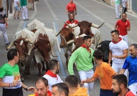 Unos mozos corren delante de los toros en un encierro.