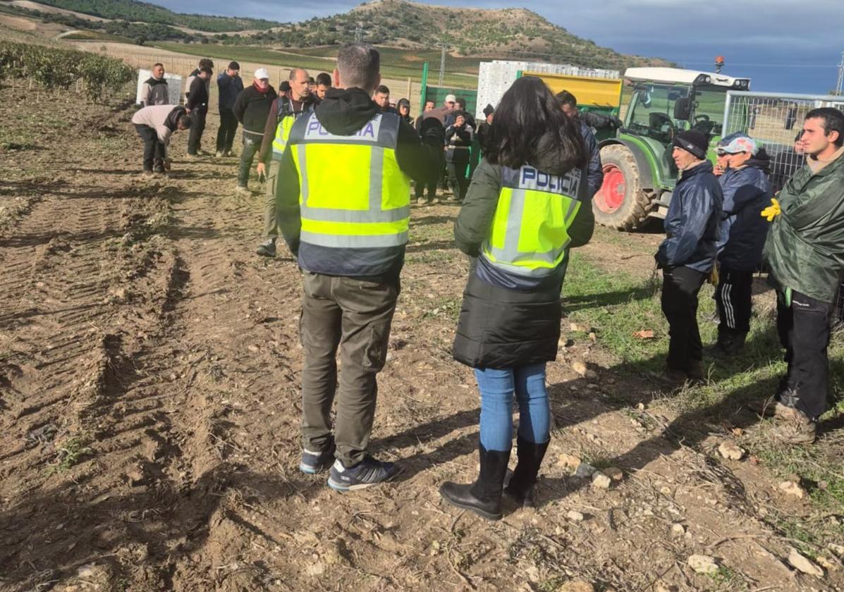 Intervención de la Policía Nacional en la explotación agrícola.