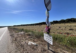 Carteles en el lugar del hallazgo del cadáver de Esther López.