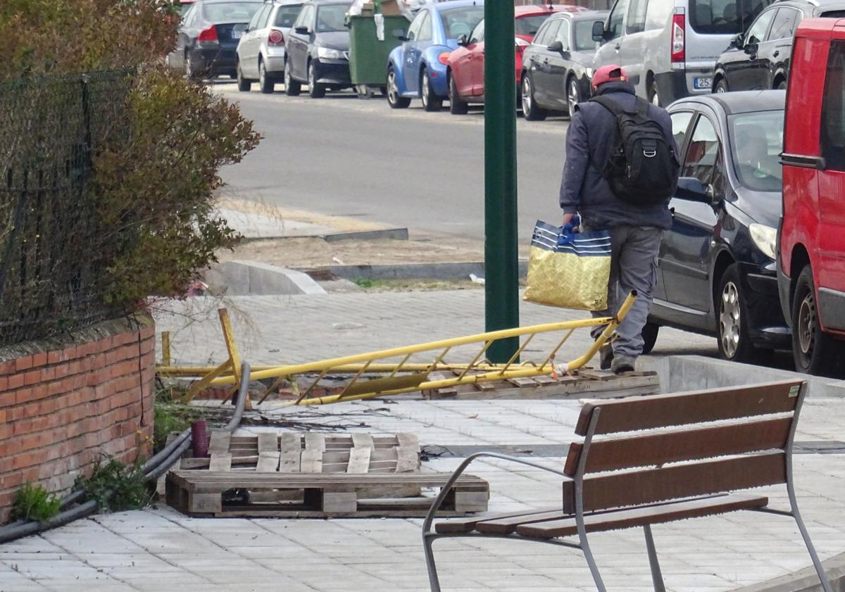 Imagen principal - Estado de las aceras y parterres del tramo inicial de la avenida de El Norte de Castilla.