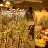 Valladolid concentra el 43% de la incautación de marihuana de la región