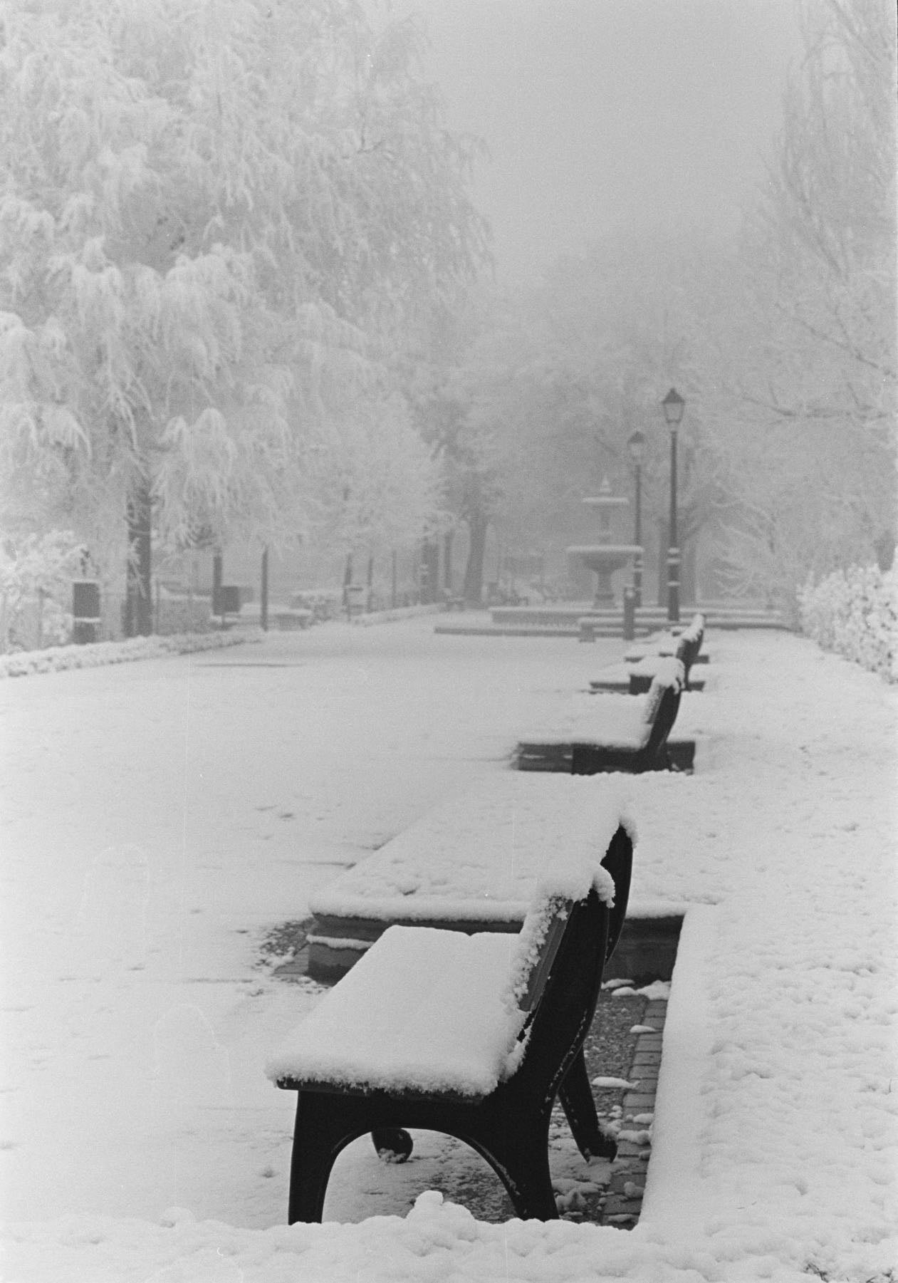 Nieve en el Paseo de Versalles de Medina del Campo. 3 de enero de 2000.