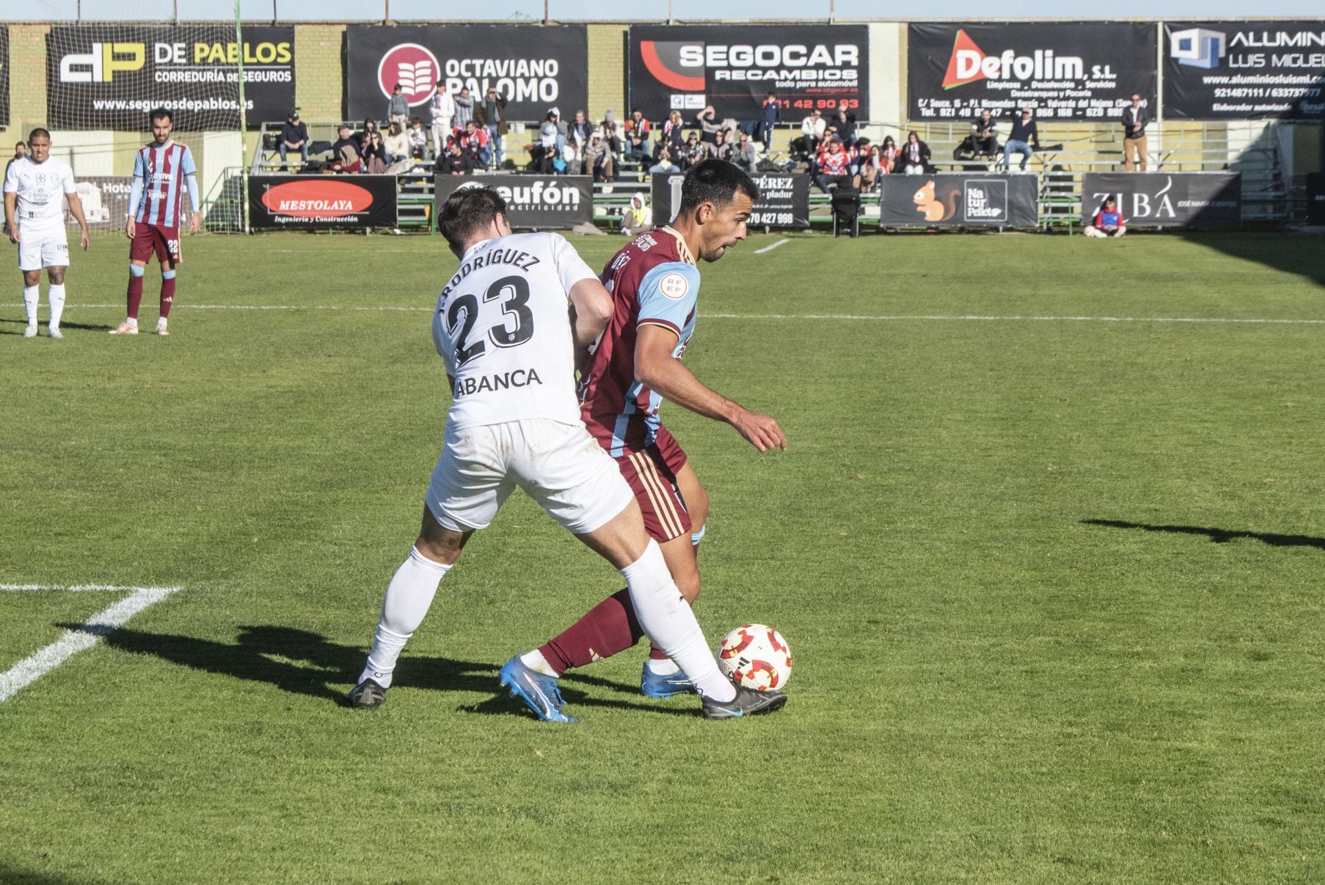 Fotografías del triunfo de la Segoviana ante el Lugo