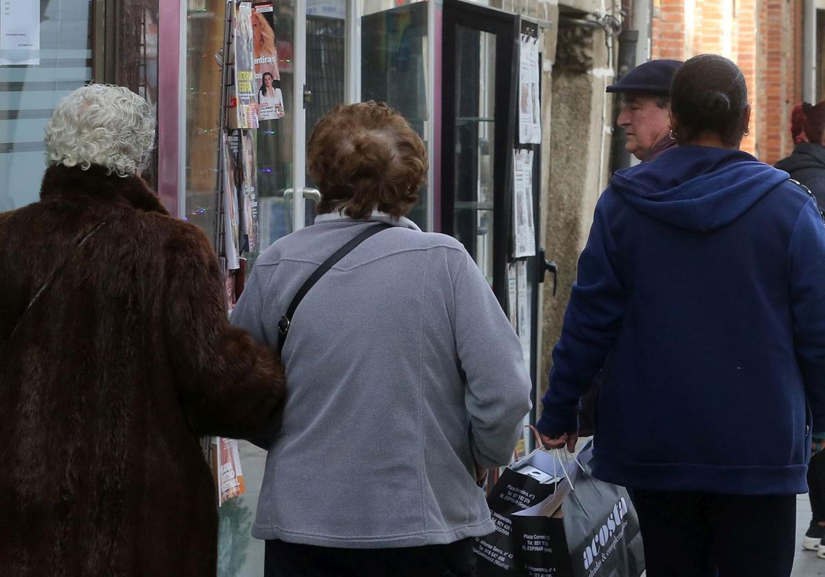 Un grupo de vecinos de un municipio segoviano.