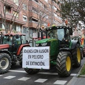 Crecimiento a golpe de galletas y de los coches del rombo