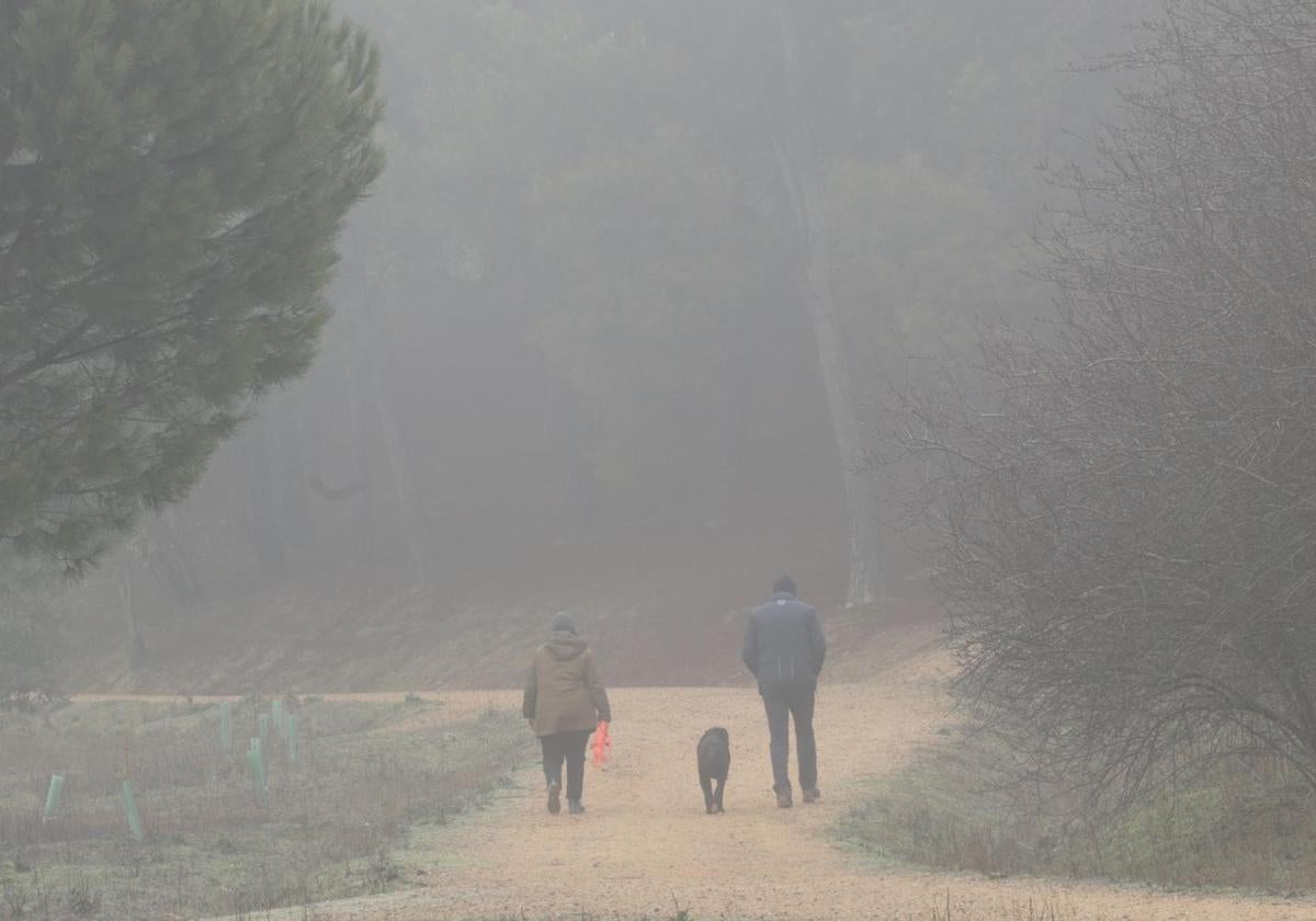 Paseo matutino entre la niebla en el cerro de Las Contiendas.