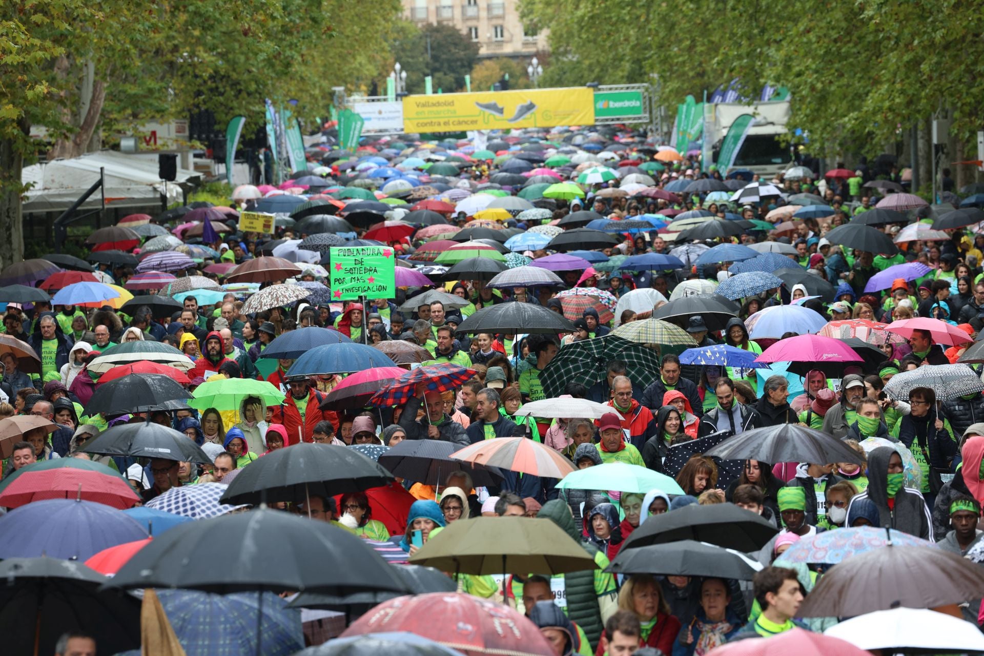 Y, sobre todo, la estampa única y emocionante que cada otoño se repite en la ciudad. La de este año, con paraguas. La lluvia cogió también dorsal para participar en la Marcha contra el Cáncer, que un año más recaudó en Valladolid fondos para luchar contra la enfermedad. 