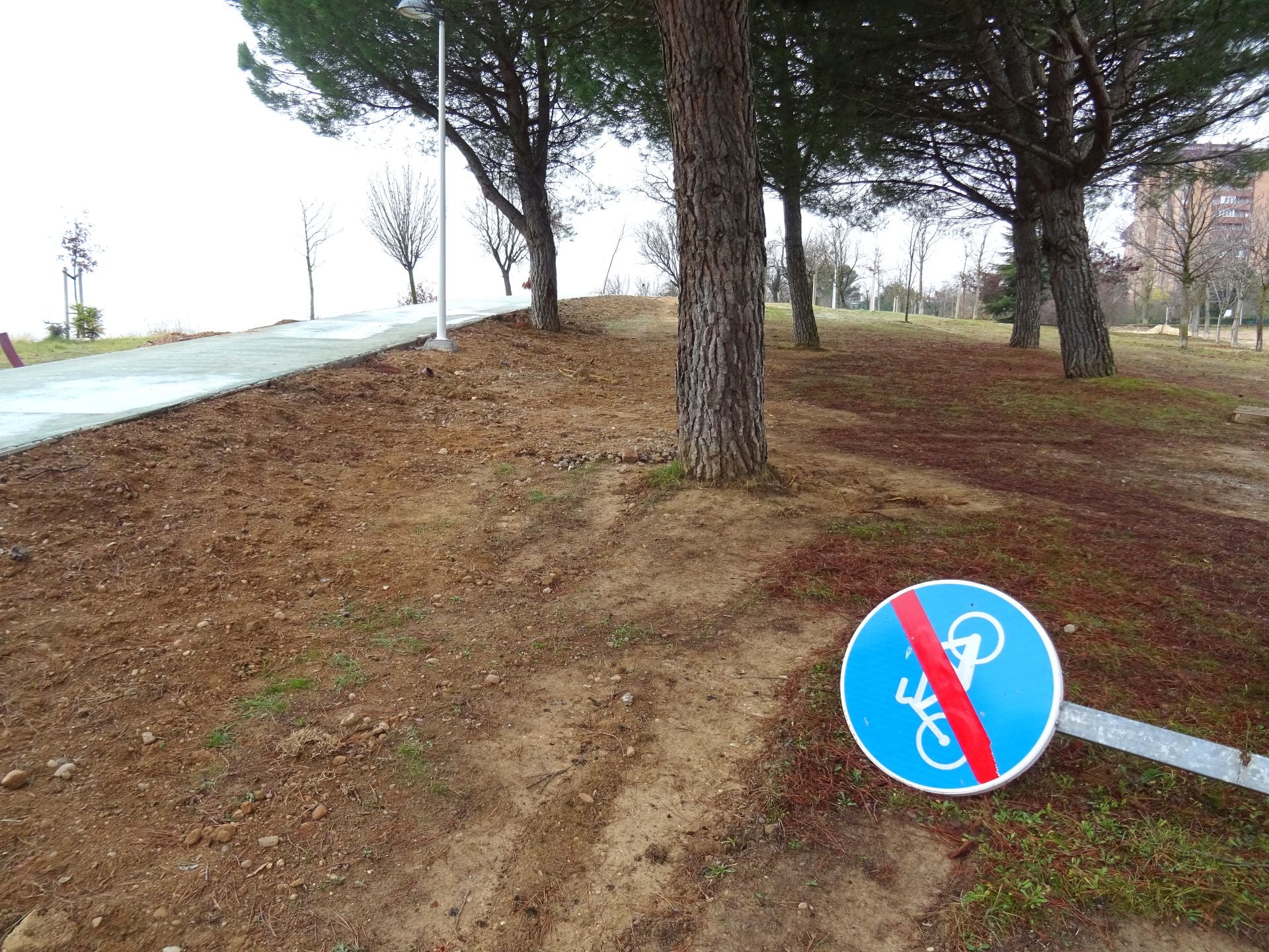 Un recorrido en imágenes por el carril bici de Parquesol