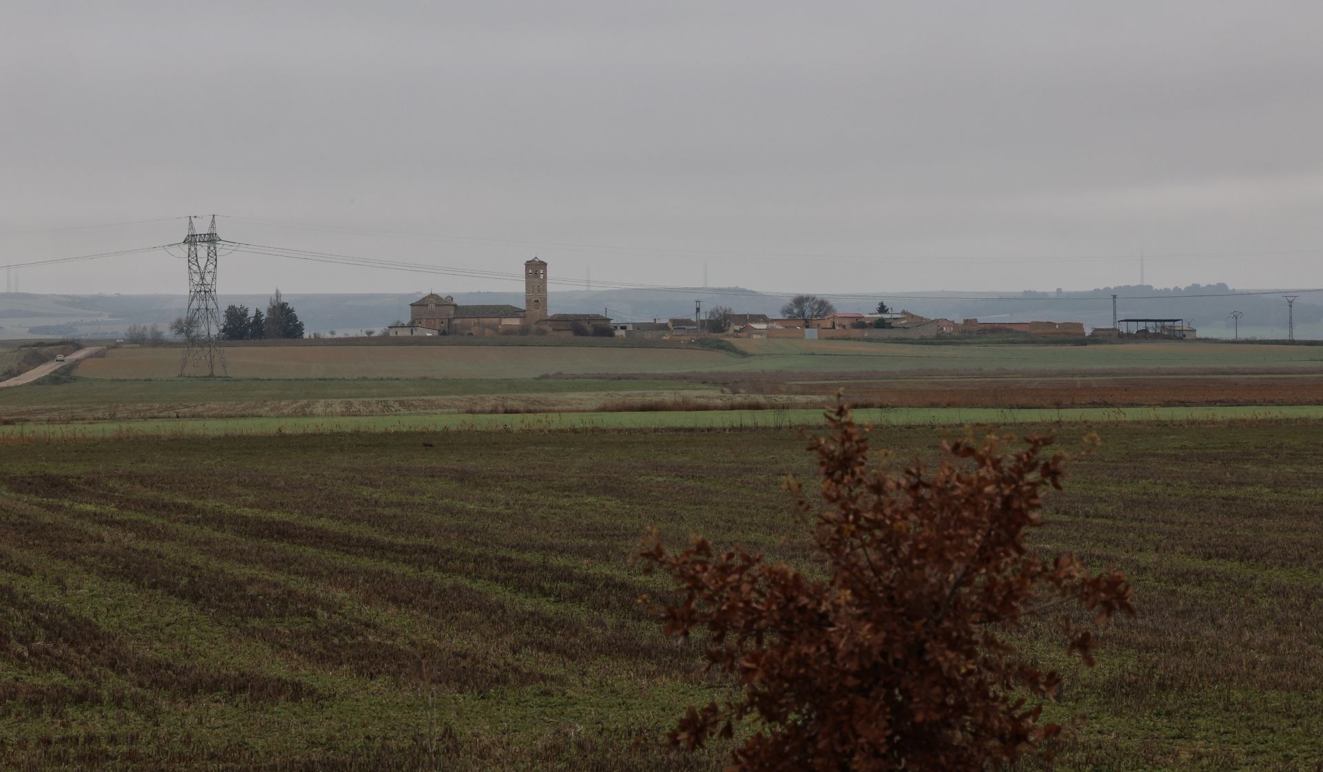 Niebla para despedir el año en Palencia