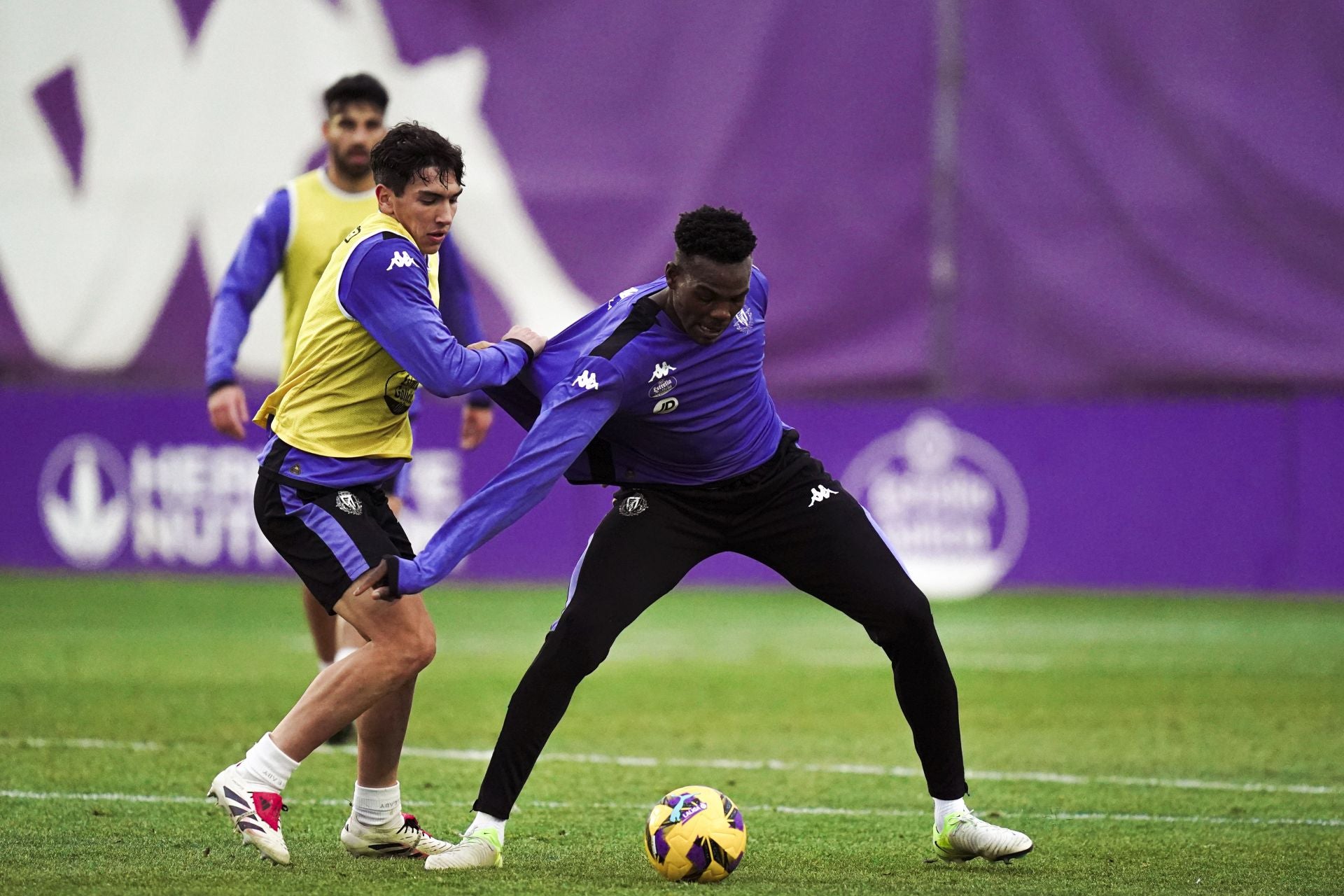 Vuelta al trabajo del Real Valladolid después del descanso navideño