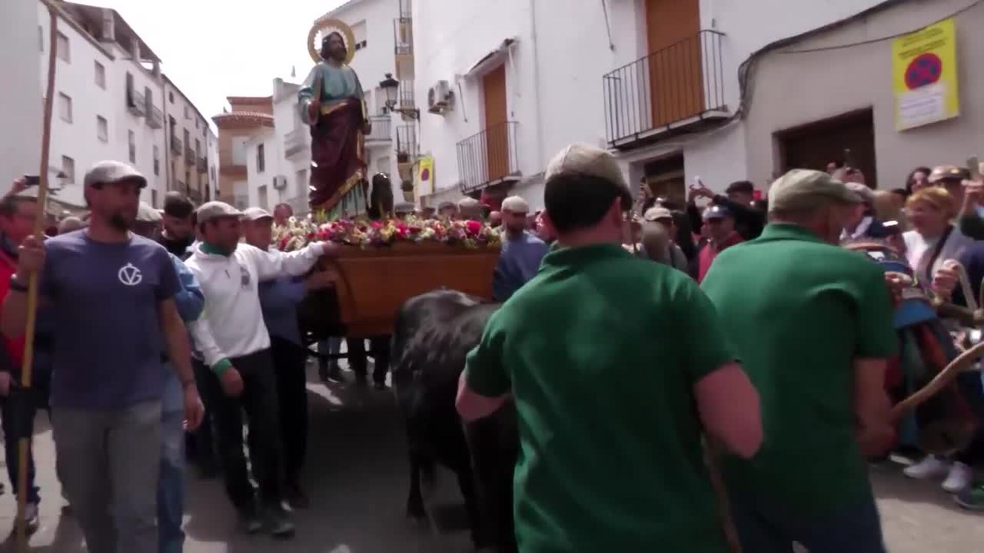 Beas de Segura vive el día grande de las fiestas de San Marcos con 80 'toros ensogaos'
