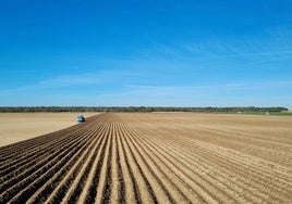 Preparación de una parcela de uso agrario para la siembra.