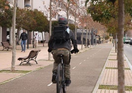 Paseo Juan Carlos I, donde tuvo lugar la detención del hombre.