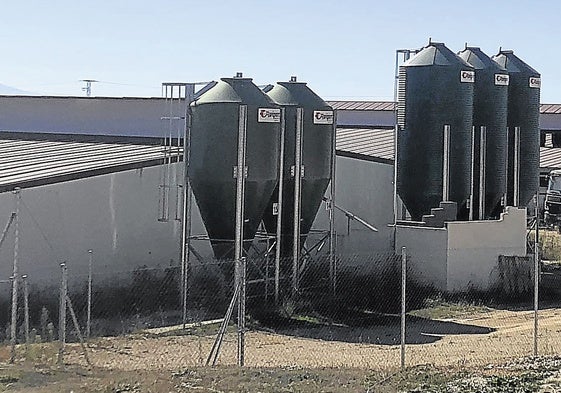 Granja de porcino en la provincia en la Ribera soriana