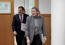 Carlos Fernández Carriedo e Isabel Blanco, este jueves antes de la rueda de prensa posterior al Consejo de Gobierno.