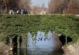 Un paseo en imágenes por la Avenida Valle Esgueva