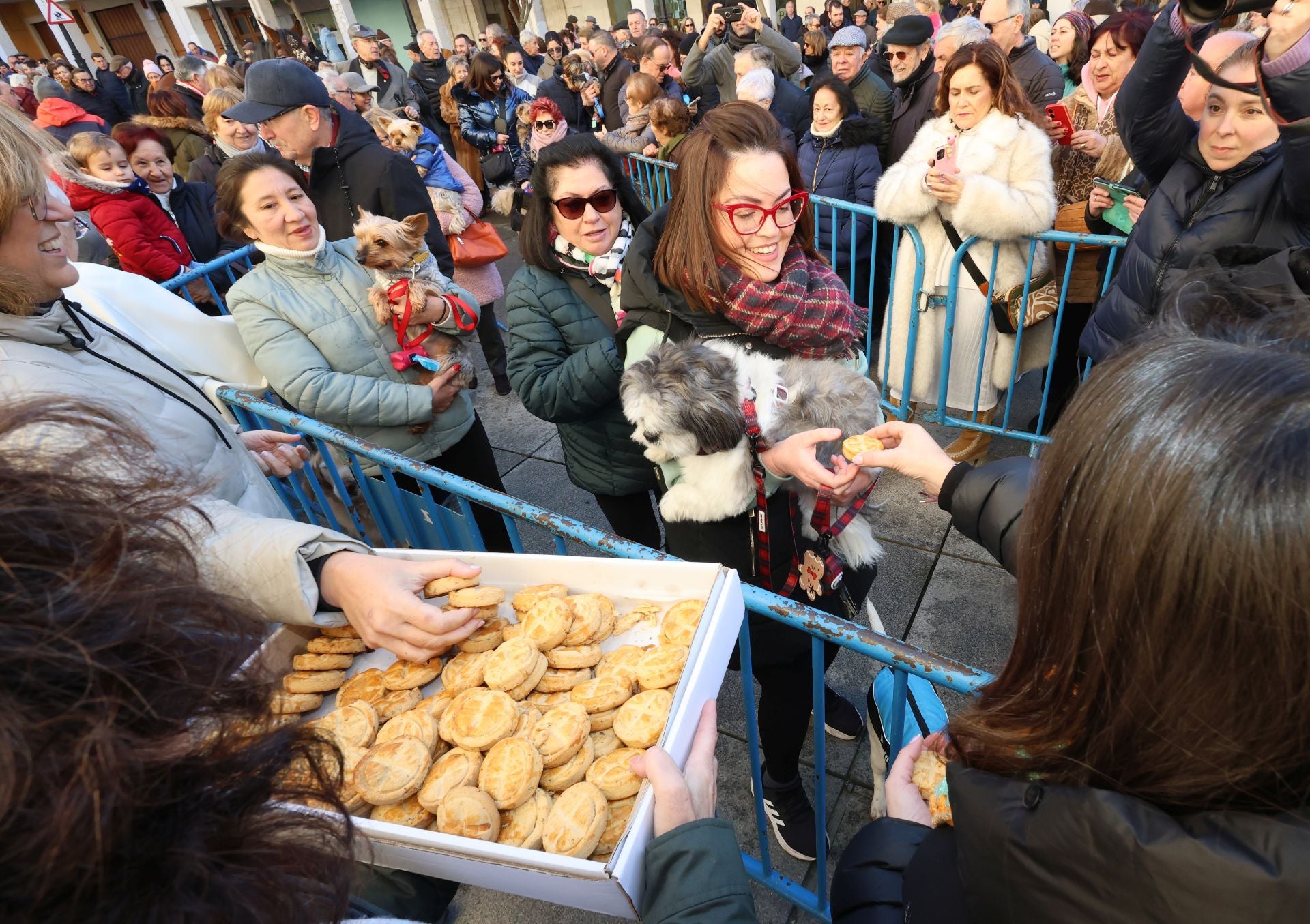 San Antón bendice a los animales de Palencia