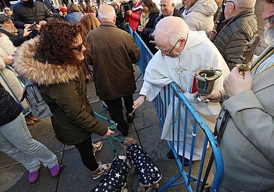 El párroco Fernando Salomón bendice a dos perros en la festividad de San Antón.