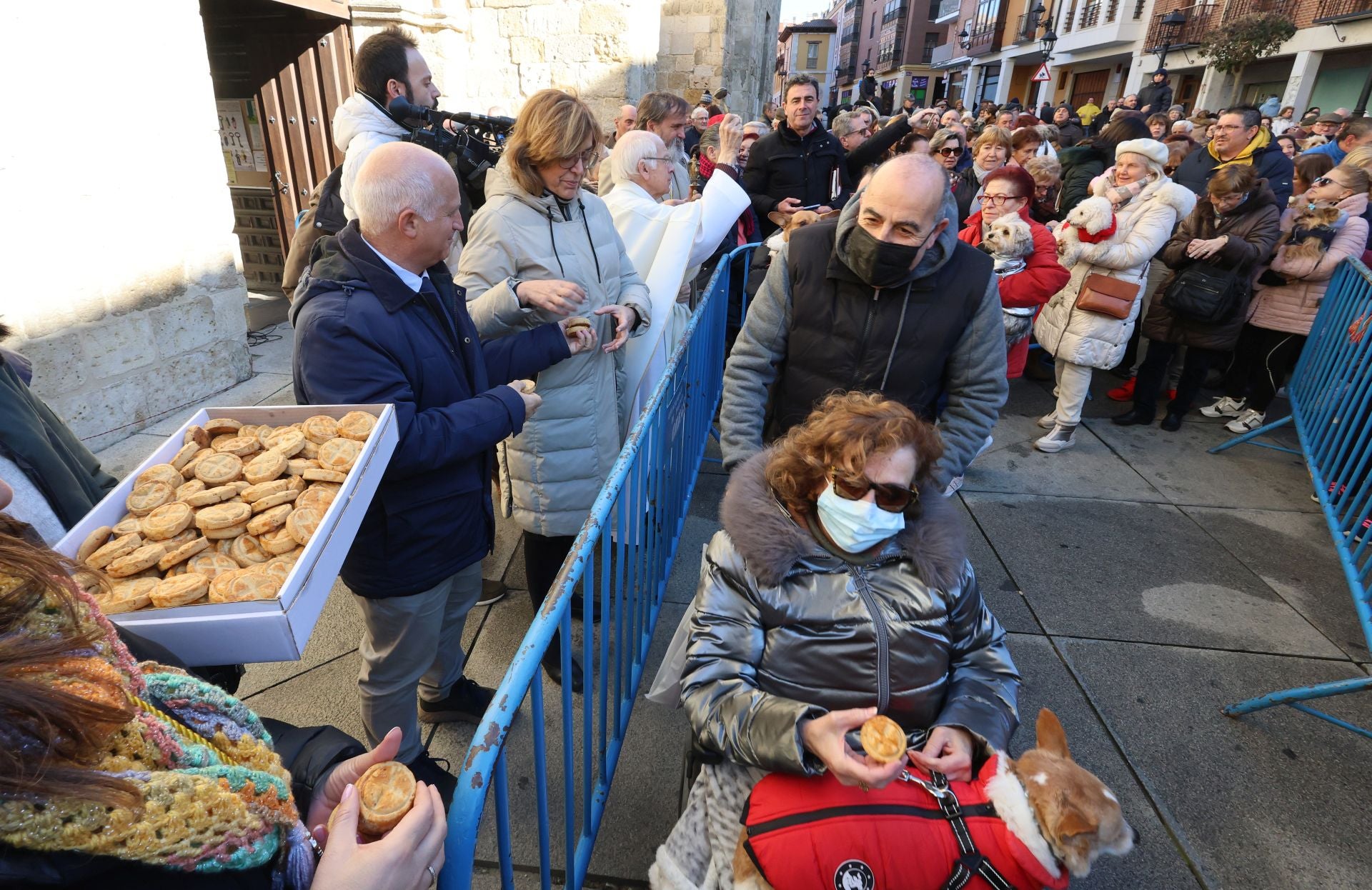 San Antón bendice a los animales de Palencia