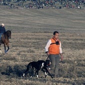 Más de 30.000 personas presencian en Madrigal los cuartos del nacional de galgos