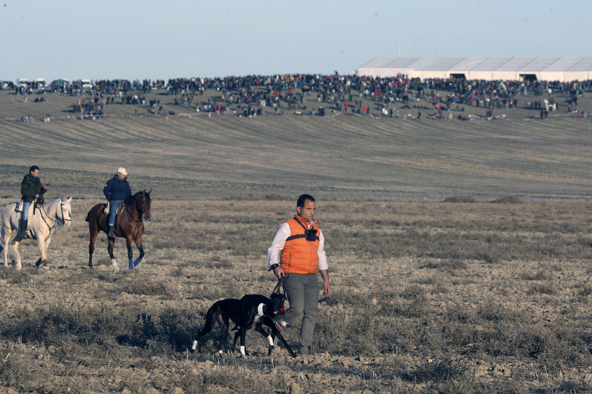 Las imágenes de los cuartos de final del LXXXVII Campeonato de Galgos