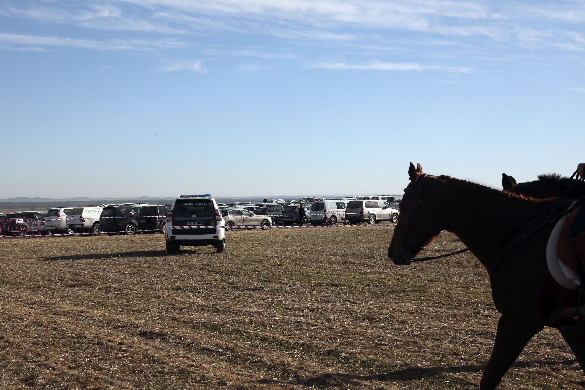 Las imágenes de una nueva jornada de los cuartos de final del LXXXVII Campeonato de Galgos