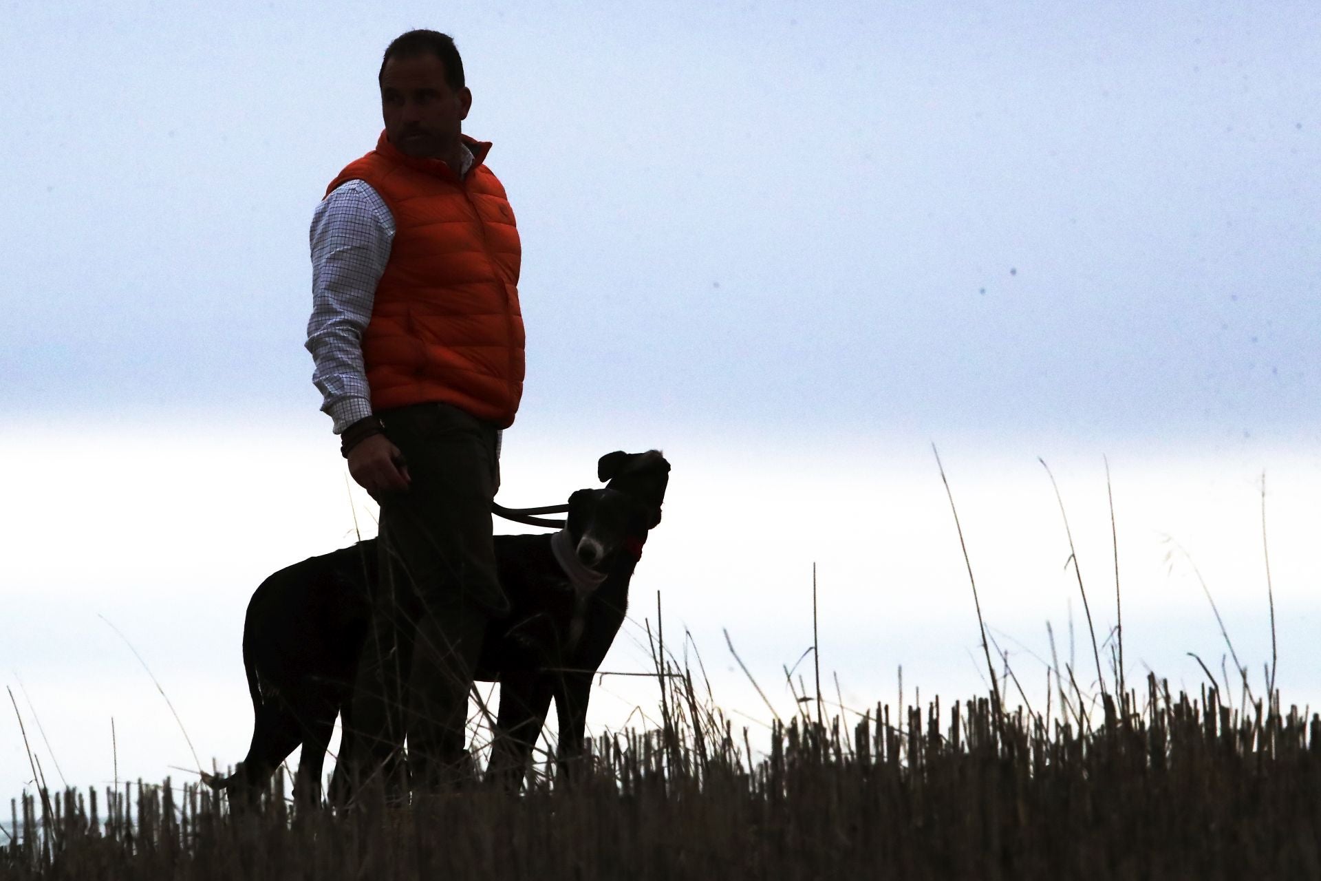 Las imágenes de una nueva jornada de los cuartos de final del LXXXVII Campeonato de Galgos