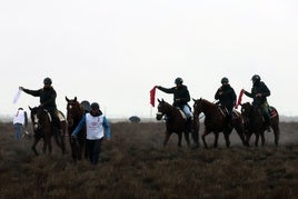 Una imagen del campeonato de galgos de este lunes