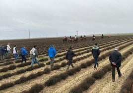 Los aficionados, van a la mano, a la espera de que se corra una liebre, ayer en Madrigal.