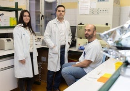 Irene Arroyo (data manager), Iván Sanz (responsable científico de vigilancia virológica) y Javier Sánchez (técnico de laboratorio), en el Centro Nacional de la Gripe de Valladolid.