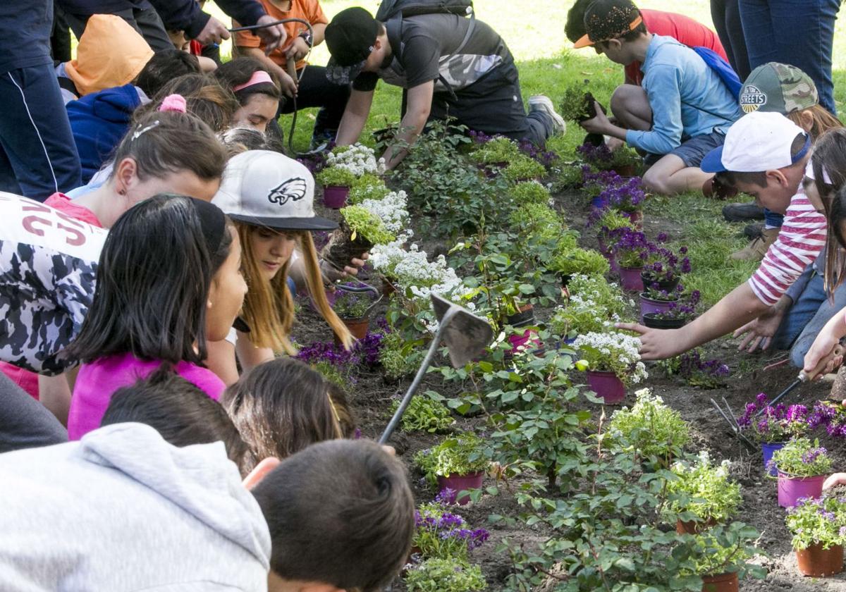 Educación ambiental: cuidar mundo y corazón