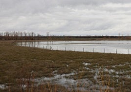 Laguna de la Nava.