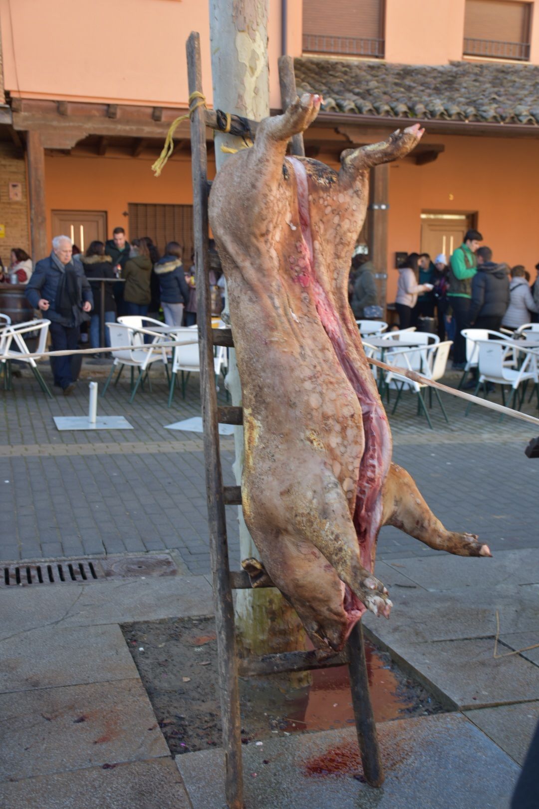 El invierno es motivo de fiesta en Becerril de Campos