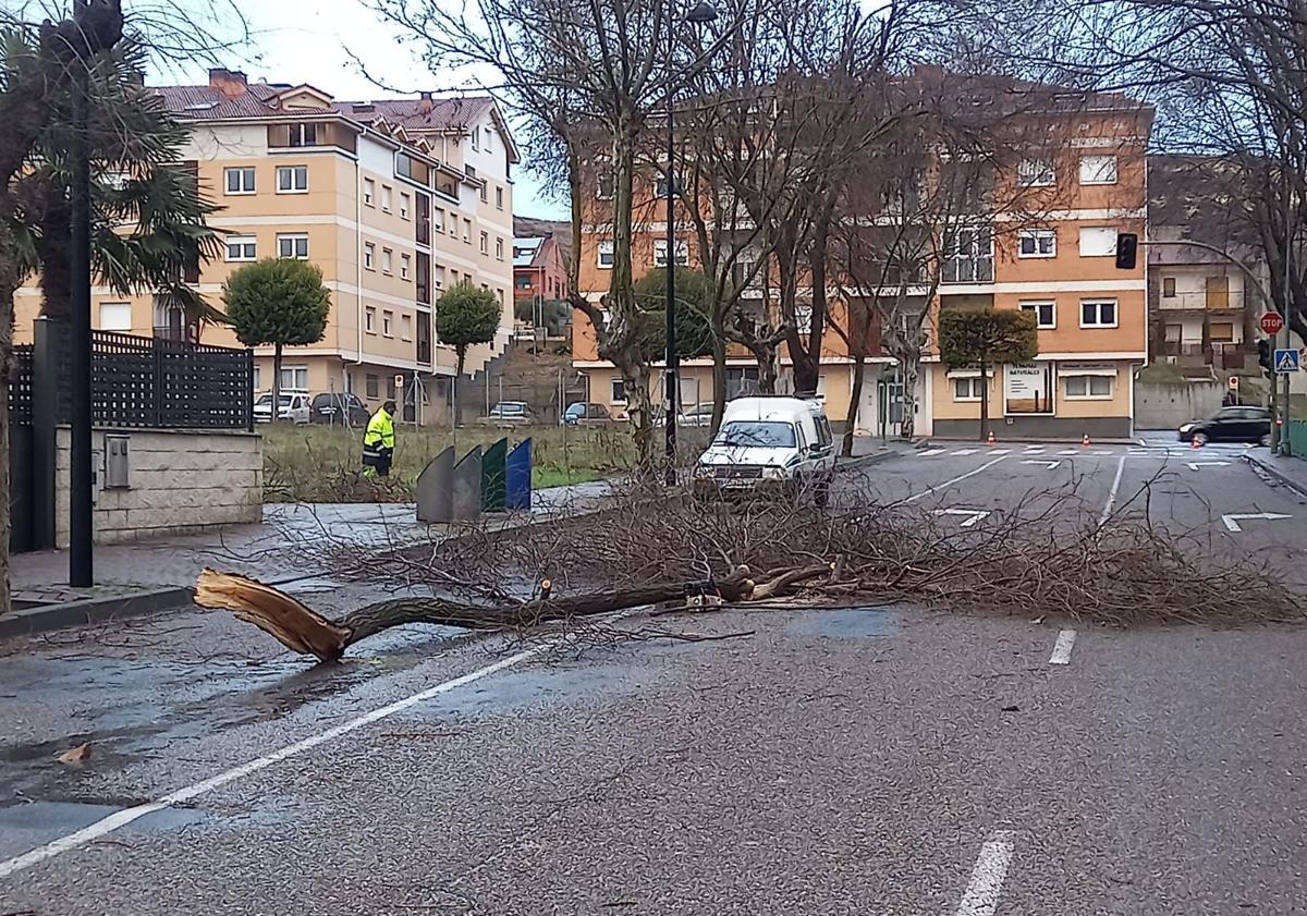 Imagen principal - Arriba, árbol arrancado por el viento en una calle de Cuéllar; en el medio un operario despeja la calzada entre Chañe y Vallelado al precipitarse un árbol, y abajo, pequeña inundación en la carretera de Cascajares. 