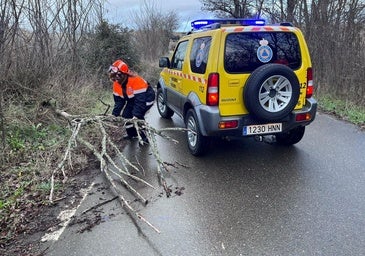 Declarada la alerta por nevadas en toda Castilla y León, excepto Valladolid