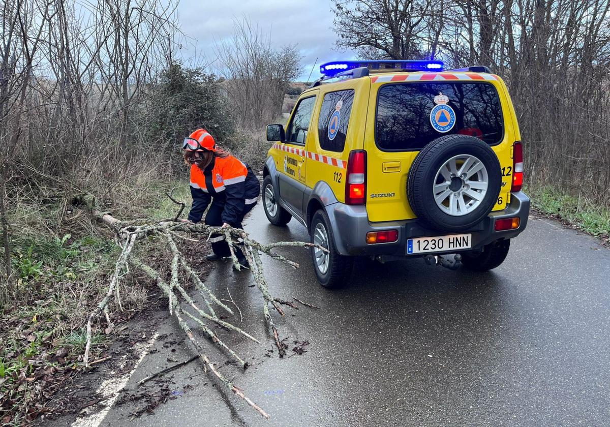 Voluntarios de Protección Civil retiran un árbol caído en la provincia de Zamora.