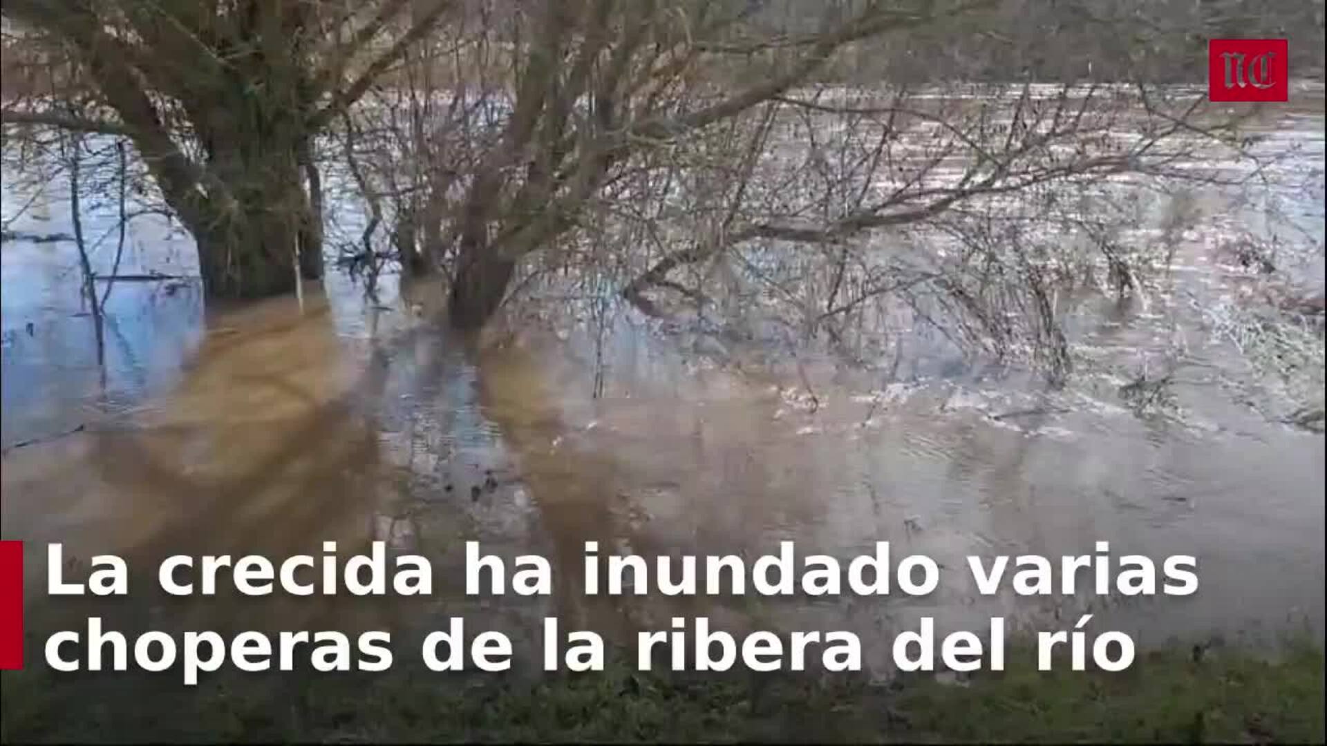 El río Cea se desborda a su paso por Melgar de Arriba