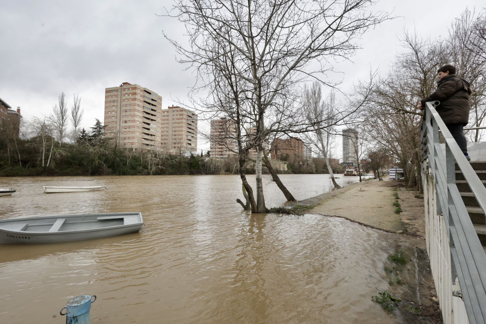 La crecida del río Pisuerga a su paso por Valladolid, en imágenes