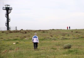 El PP propone la instalación de un columpio atractivo en el paraje de Las Lomas.