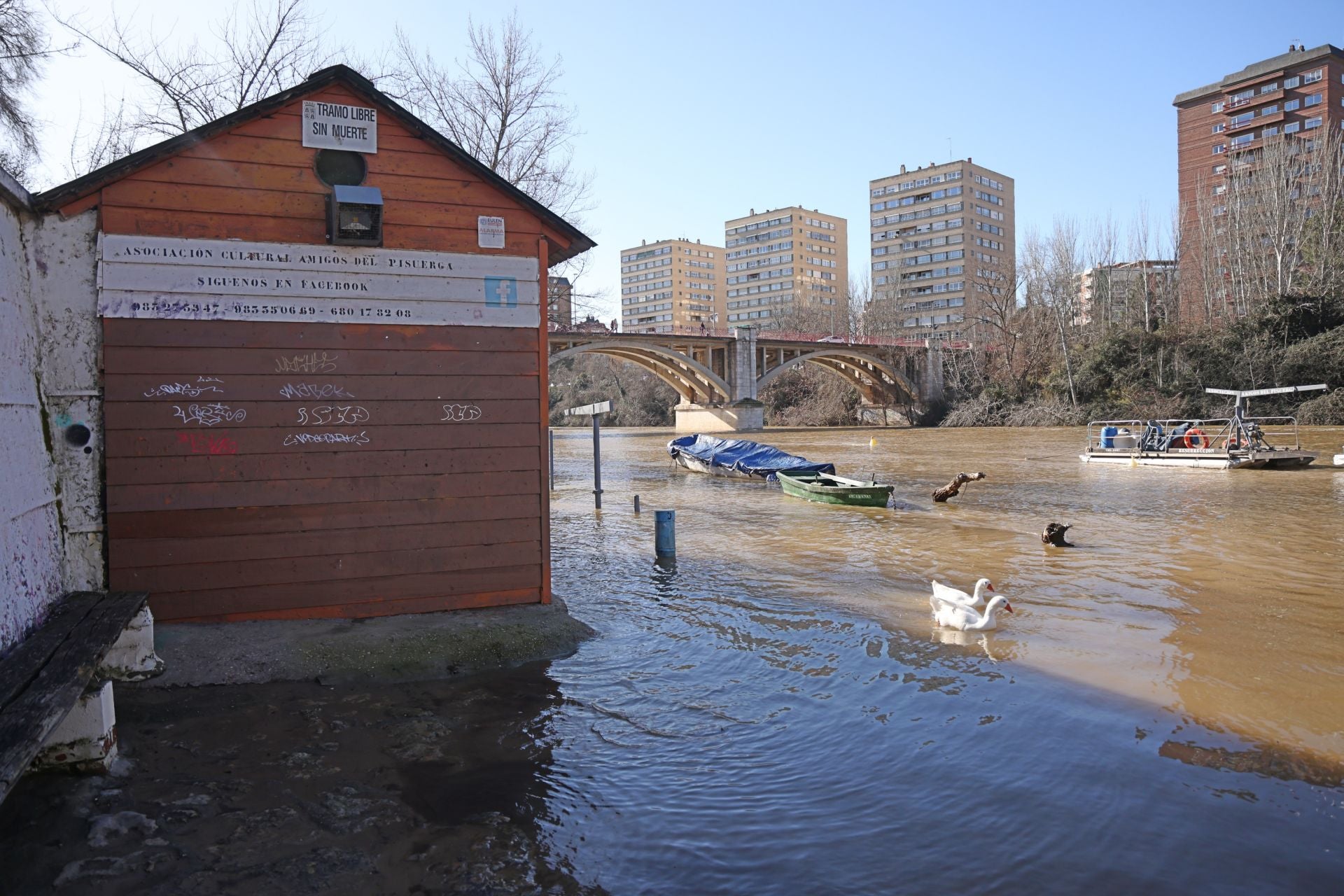 El estado del río Pisuerga, en imágenes