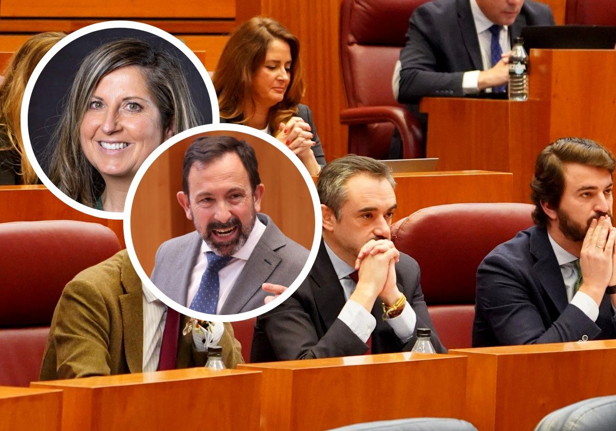 García-Gallardo sentado en su escaño de las Cortes y en las imágenes de detalle, Ana Rosa Hernando y Javier Teira.